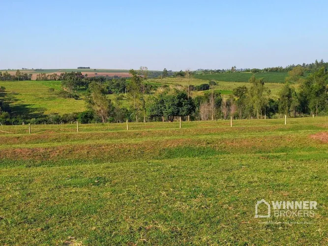 Sítio à venda, 21175 m² por R$ 380.000,00 - Br - Nova Esperança/PR