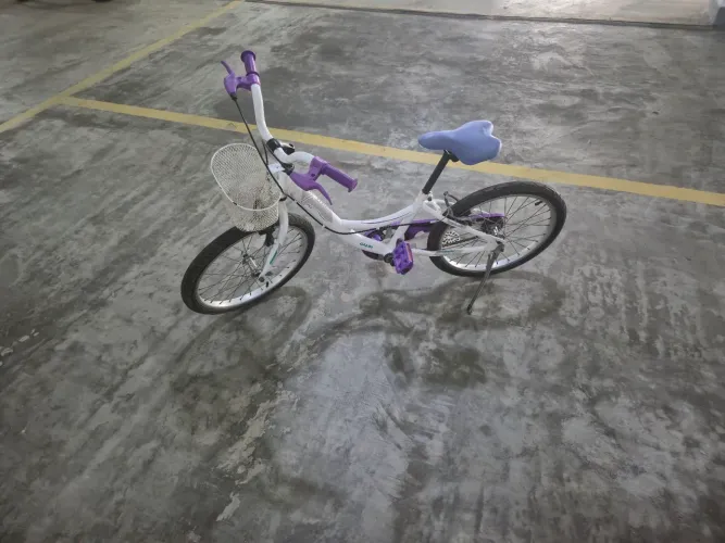 BICICLETA INFANTIL