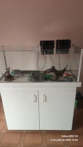 VENDO AQUÁRIO 160 LITROS+ACESSÓRIOS 800 EEAIS * Reynaldo Zona Norte SP