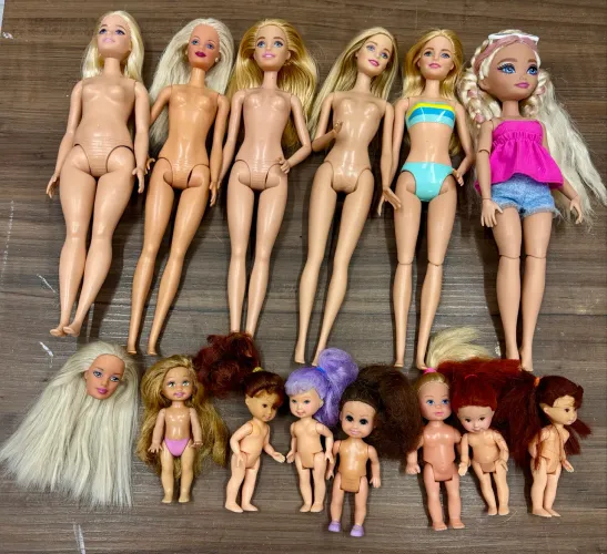 Lote de Barbies