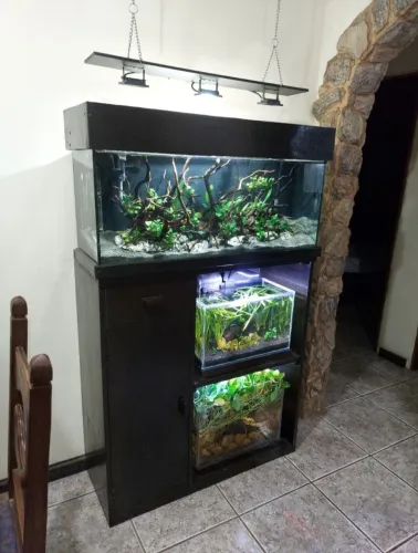 Aquários completos com móvel!
