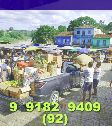 frete barato e rápido para sua mudança! ligue agora e garanta o seu!