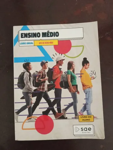 Livro Arte Ensino Médio SAE Digital - Livro Anual Praticamente Novo