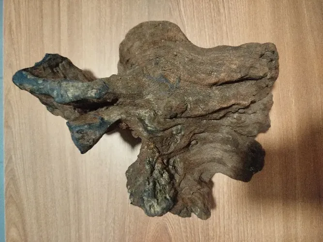 Tronco AROEIRA decorativo PARA SEU AQUÁRIO TRATADO aquarismo