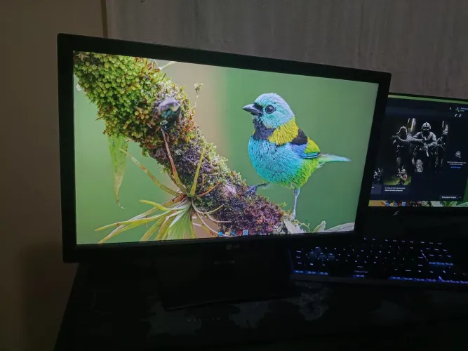 Monitor LG Full HD 24 Polegadas | Petrópolis rj