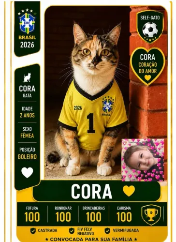 Doação de Gata 