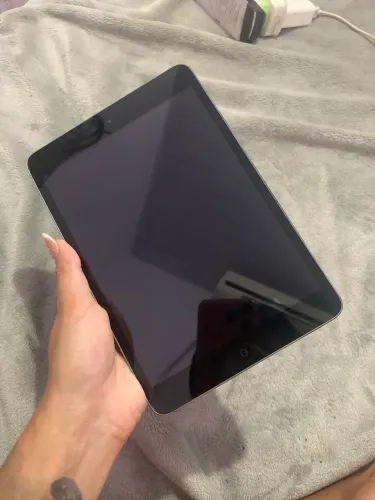 iPad mini 2