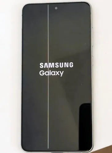 Samsung S21FE