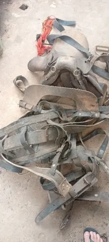 Vende-se esse arreios pra carroça  