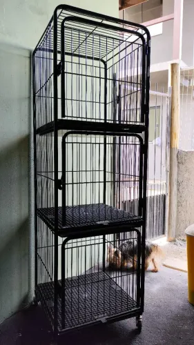 OPORTUNIDADE PARA PROFISSIONAIS PET