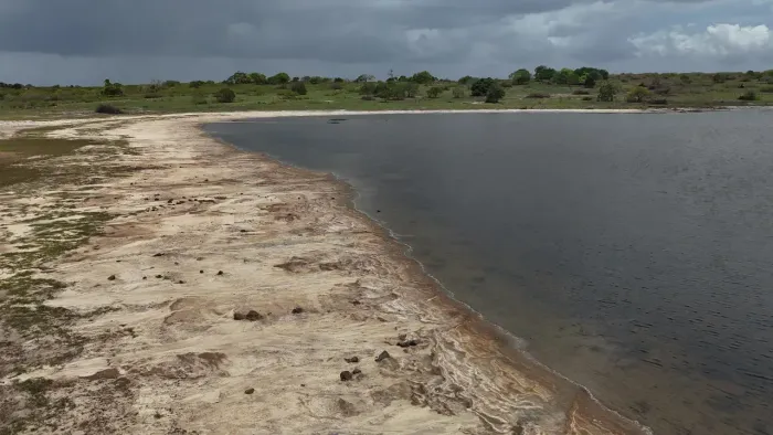 fagenda com 115 hectares  nas margens da RN 226 excelente para criação de gado posto de ga