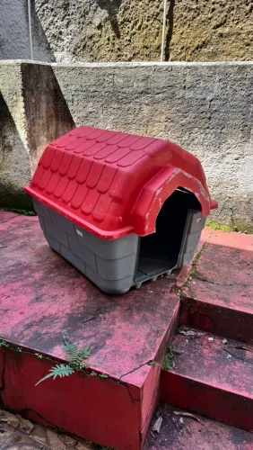 Casa de cachorro grande
