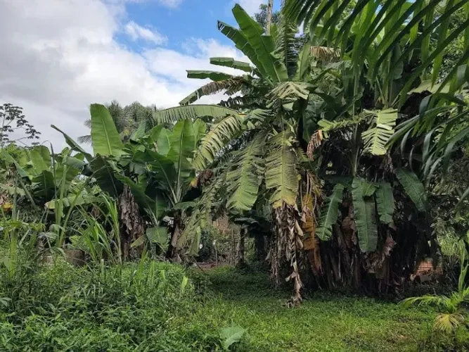 Belissima Chácara 8000M2