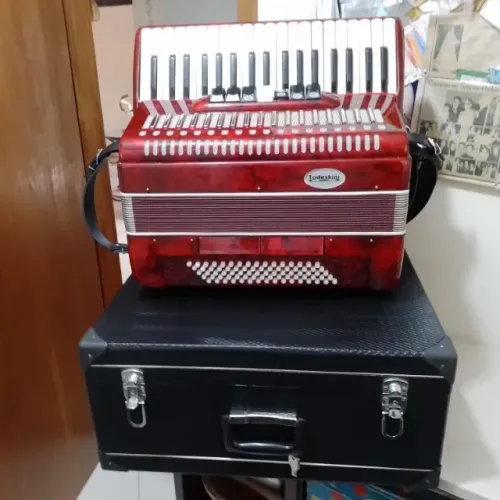 Acordeon Todeskini 80 Baixos - 7 Registros + Case