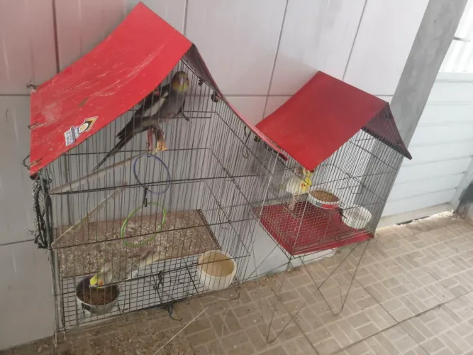 Gaiolas