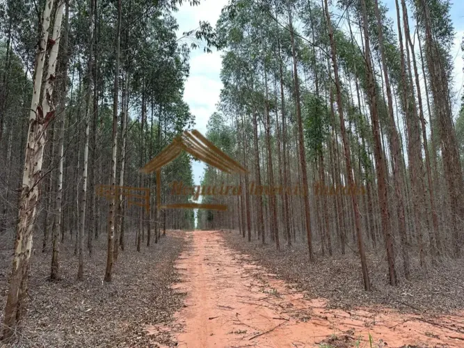 Fazenda com 119 alqueires na região de Bauru-SP