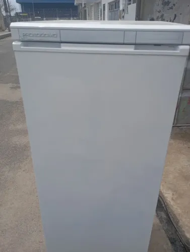 Freezer vertical