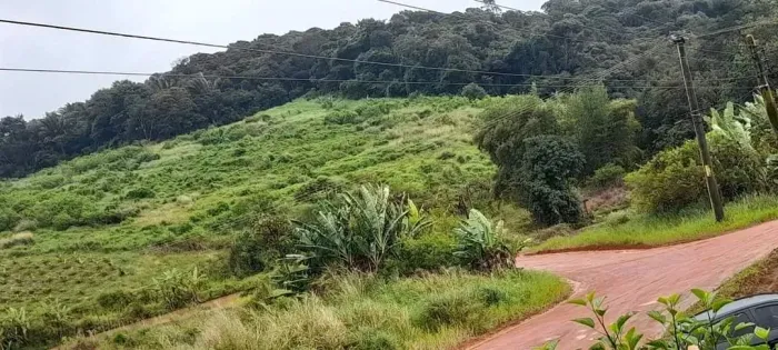 Imóvel para venda com 9 hectares quadrados em Centro - Bonito - PE