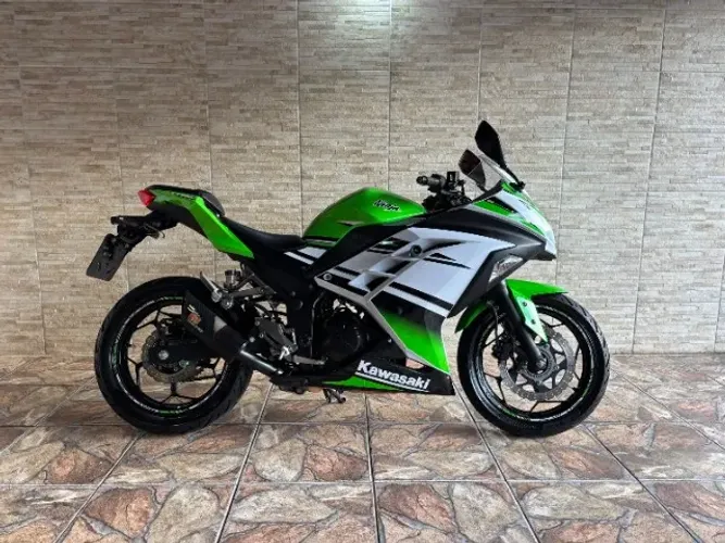 Kawasaki Ninja 300 2015