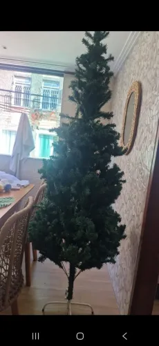 VENDE-SE ÁRVORE DE NATAL 