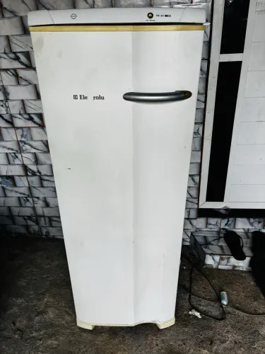 Freezer Electrolux fe22