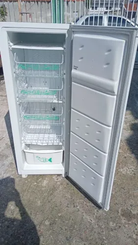 Frezer consul