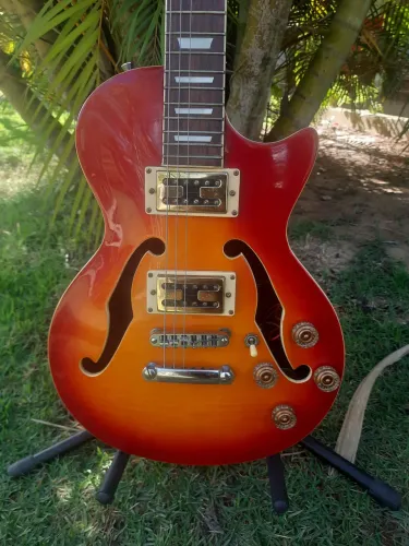 Guitarra Les Paul semi acústica relíquia.