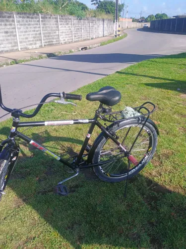 Bicicleta safari