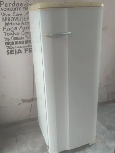 Geladeira Electrolux 317 Lts