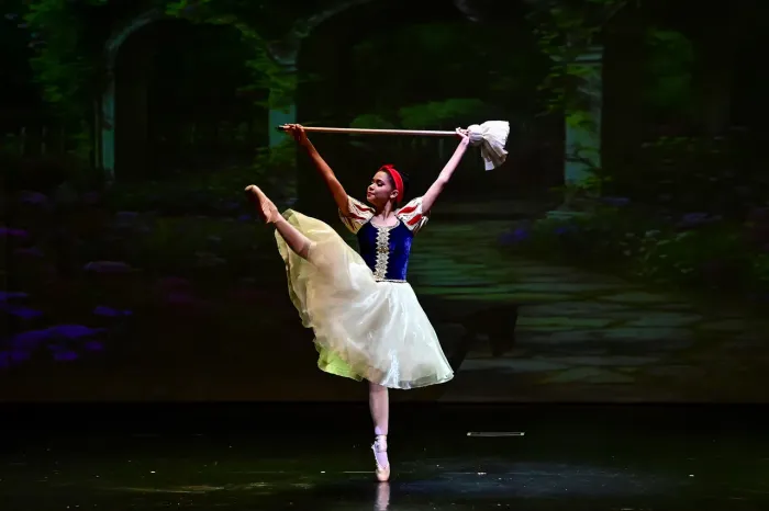 Alugo Fantasia Branca de neve