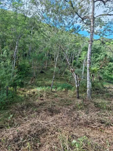 OPORTUNIDADE RELÂMPAGO CHACARA ANTONINA PR 