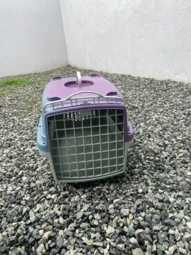 CAIXA TRANSPORTE PET