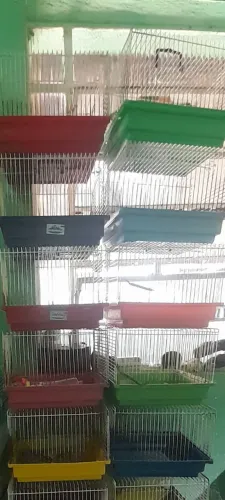 Gaiolas para Hamster