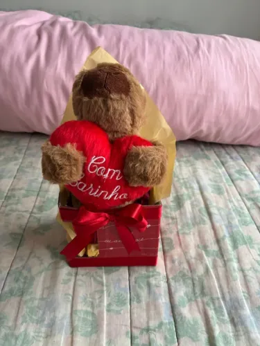 Cesta Capivara