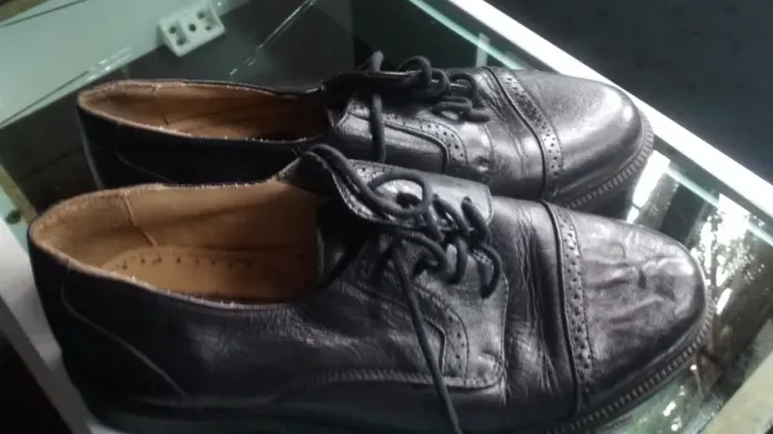 Sapato masculino couro legítimo