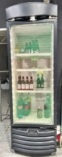 Freezer Expositor