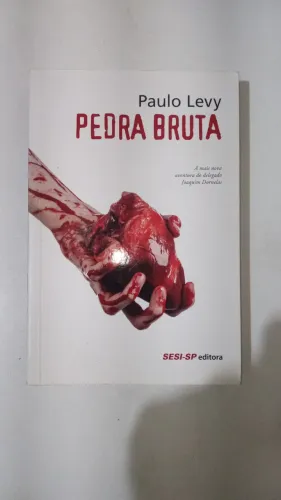 Livro Pedra Bruta - Paulo Levy
