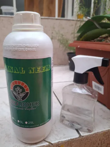  2 litros  de óleo  de neem e um borrifador 