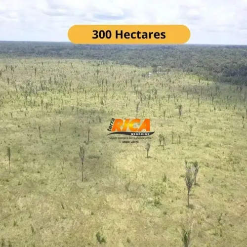 VENDE-SE EXCELENTE FAZENDA  OPORTUNIDADE ÚNICA! COM 210 HECTARES DE PASTO.