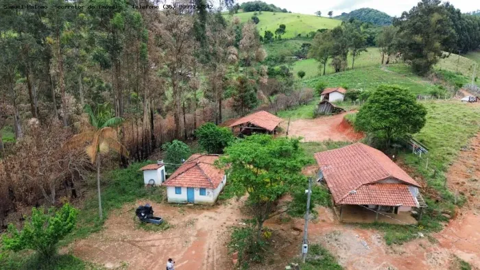 Sítio / Chácara para Venda em Toledo, Rural, 3 dormitórios, 2 banheiros