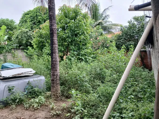 terreno plano