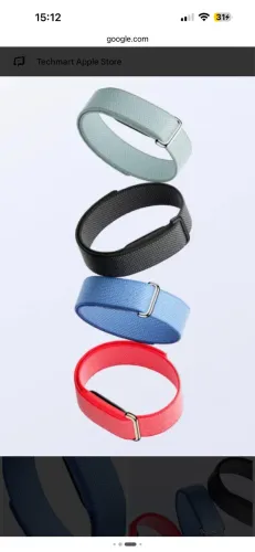 Google Fitbit Air