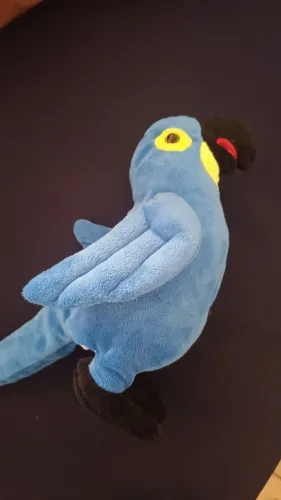 Arara cacau show