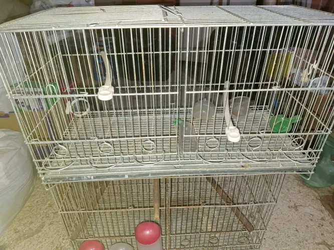 Gaiola criadeira para canários as duas por 150.00