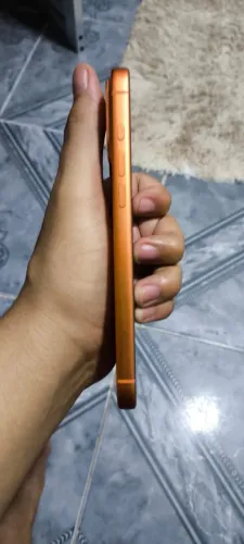 17 pro Max