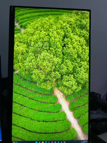 Monitor Gamer LG UltraGear 24? 24GS60F-B IPS Full HD 180Hz 