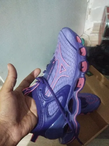 Mizuno wave prophecy 14