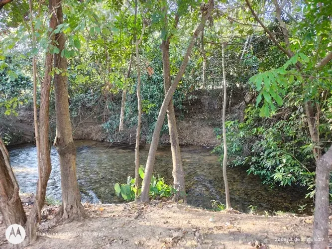 Vendo Chácara 1.050m²  beira rio tubatinga em Aurora do Tocantins - TO. 