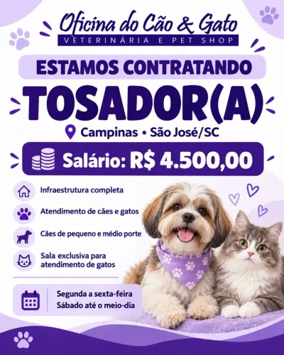 Tosador