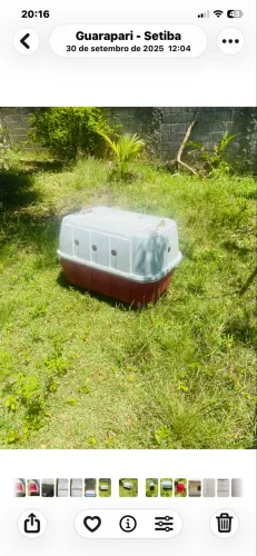 Box para transporte de cães e outros animais